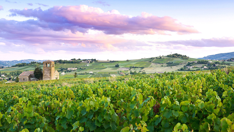 S�r Burgund p� egen h�nd